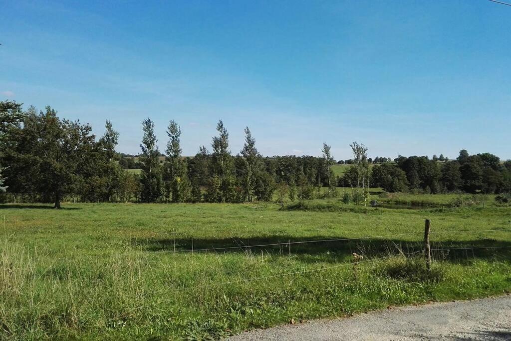 Ferienwohnung In Mittelsaida Grosshartmannsdorf Exterior foto